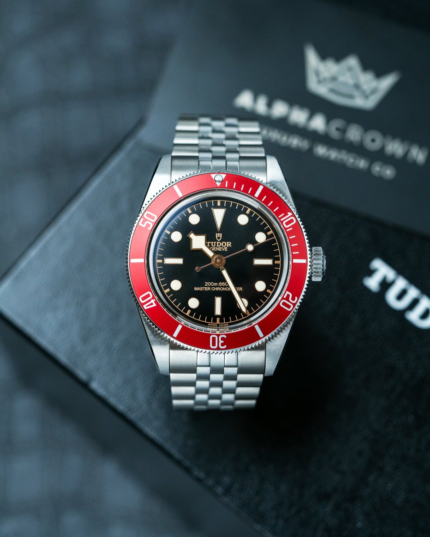 Steel Tudor Black Bay 41 M7941A1A0RU Red Bezel Watch at Alpha Crown Dallas