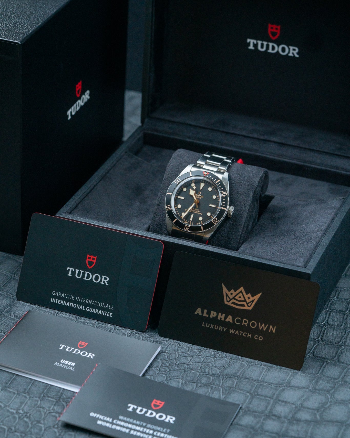 2022 Steel Tudor Black Bay 58 79030N Watch at Alpha Crown Dallas