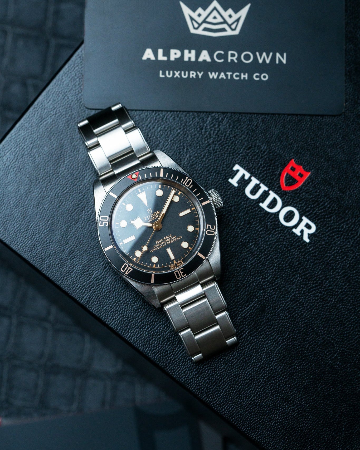 2022 Steel Tudor Black Bay 58 79030N Watch at Alpha Crown Dallas